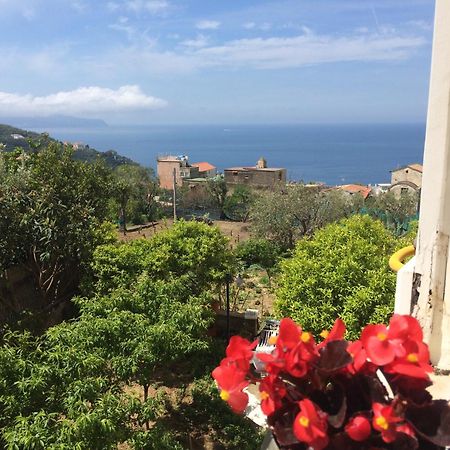 مبيت وإفطار ماسّا لوبْرينسِ Relais Il Pennino الغرفة الصورة